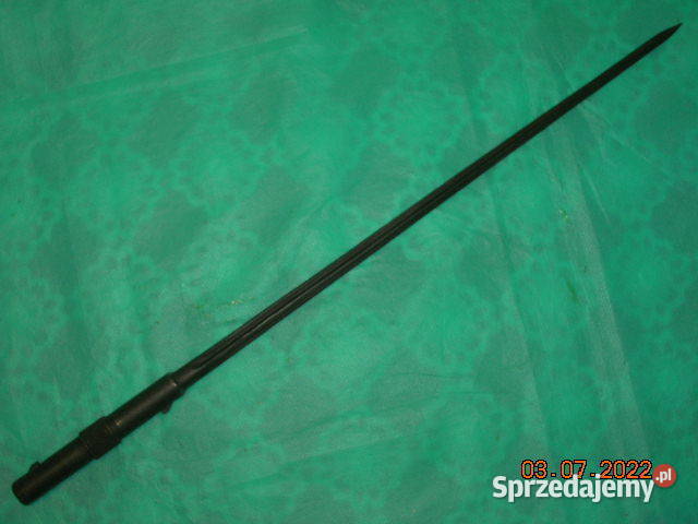 Bagnet francuski kolec łódzkie