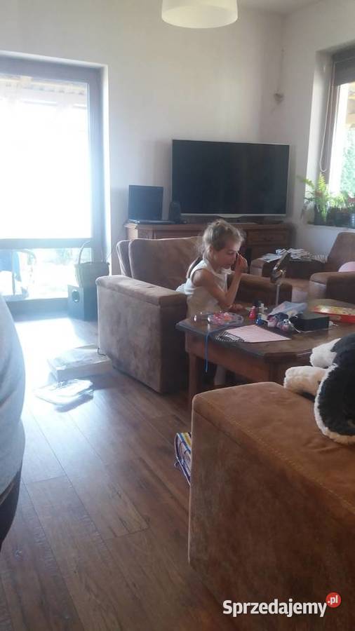 sprzedam zamieniem na droższy Borówno