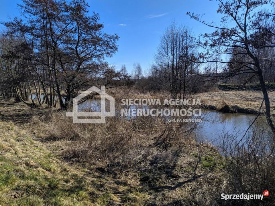 sprzedaży gruntu Błądzikowo 17400m2 1m pomorskie