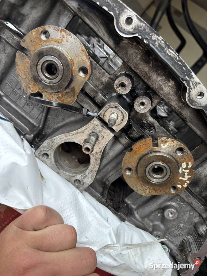 Głowica Ford transit 24l ns k4tea Zastów