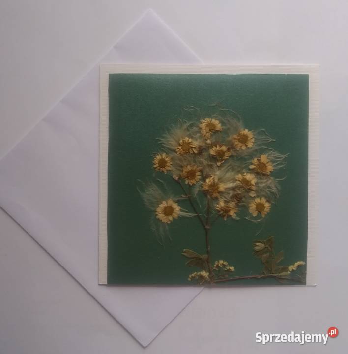 KARTKI OKOLICZNOŚCIOWE KWIATY SUSZONE Hand Made Gdańsk