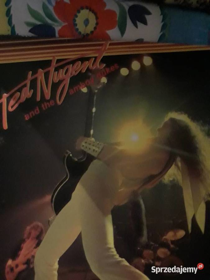 TED NUGENT Amb The Amboy Dukes rock Rzeszów sprzedam