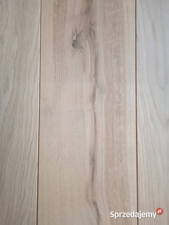 Deska warstwowa dąb Łódź sprzedam