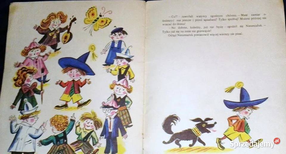 Przygody Nieumiałka Nieumiałek pisał wiersze sprzedam