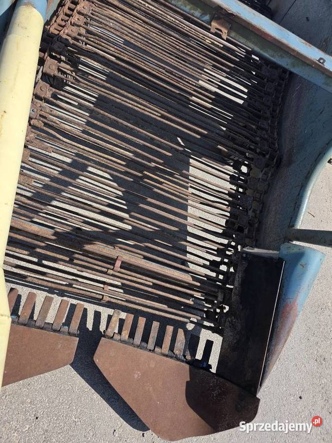 Kopaczka elewatorowa dwurzedowa do ziemniakow świętokrzyskie Samborzec