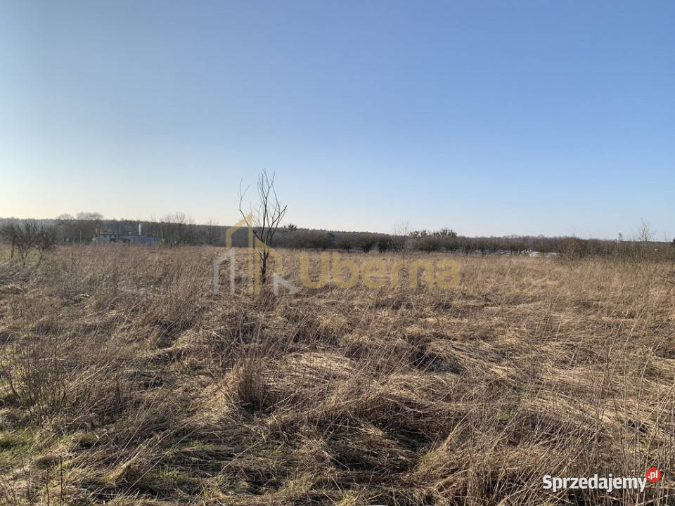 Działki inwestycyjne pod Goleniowem Żółwia Błoć sprzedam