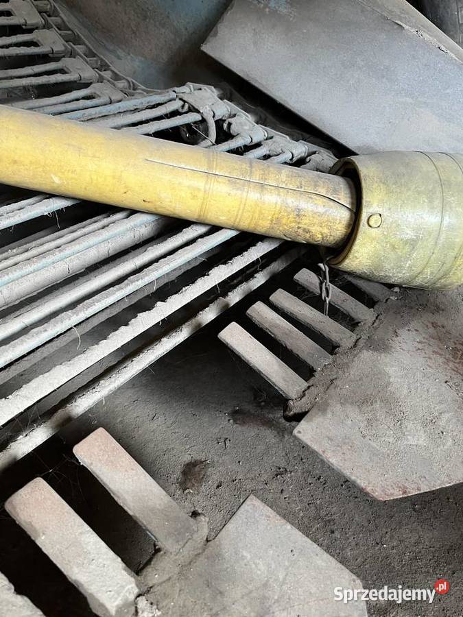 Kopaczka do ziemniaków elewatorowa 2rzędowa łódzkie Piątek
