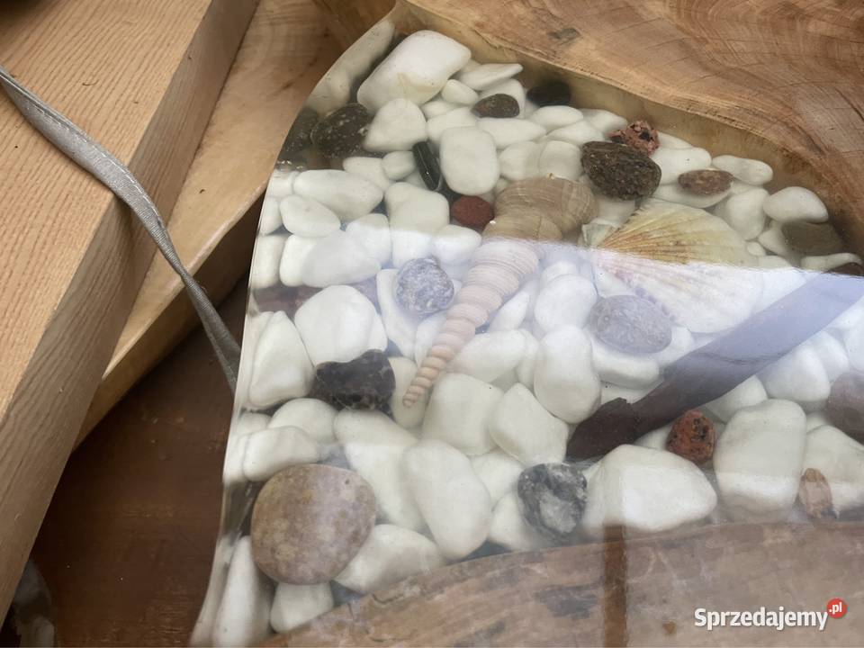 Blat stolik kawowy110x110x7 plaster monolit wiąz Przysucha sprzedam
