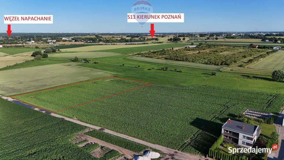 PROJEKT DEWELOPERSKI4 lokale KobylnikiRokietnica Sprzedaż Kobylniki