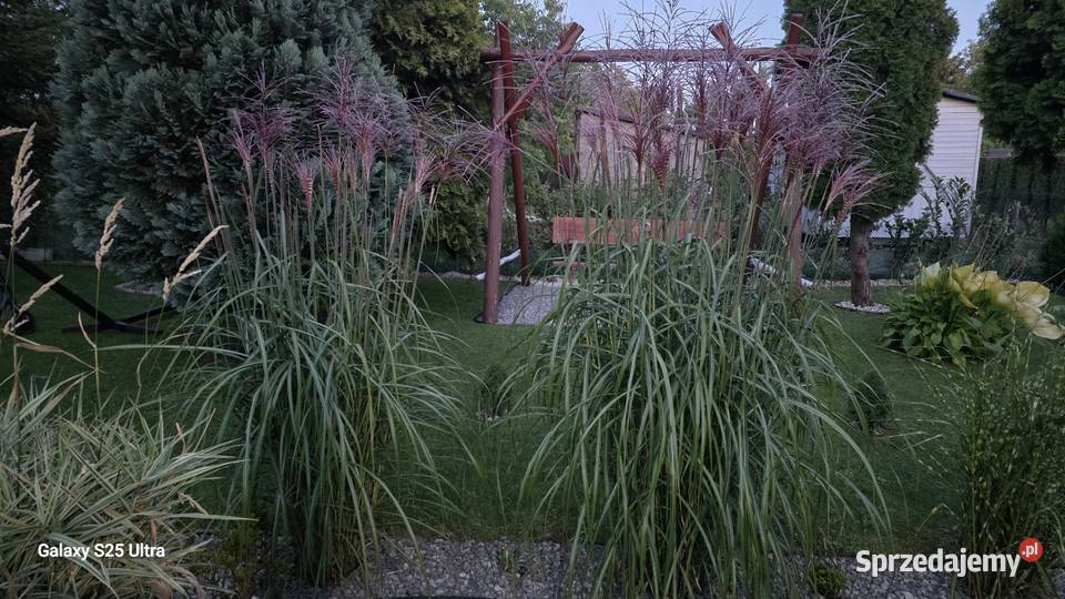 sprzedam działkę Rod pow 300m prąd woda