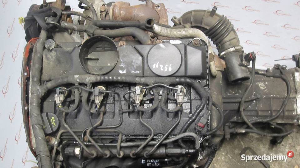 TRANSIT 24 TDCI JXFA JXFC 115 179 08r silnik Kielce