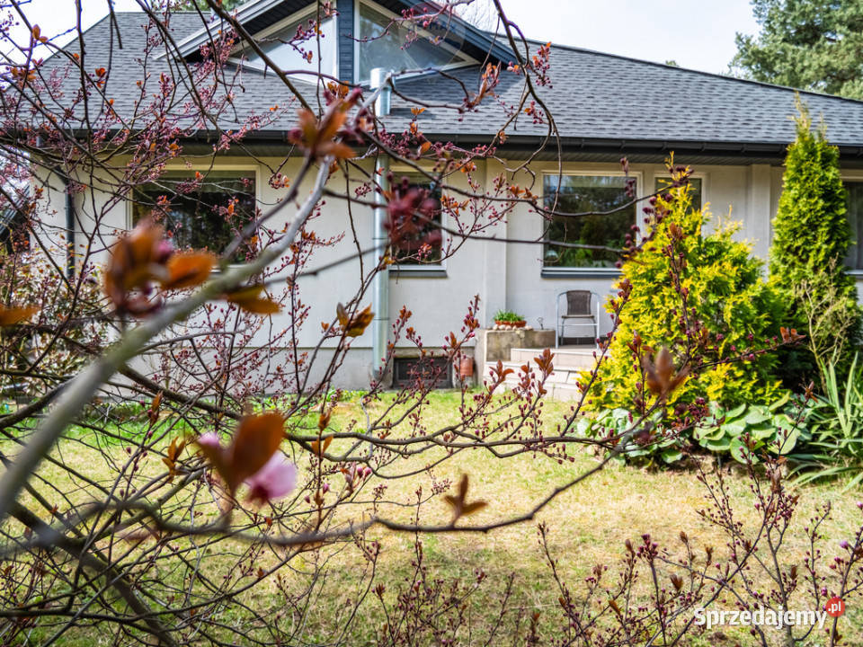 dom natury Jedlicze B powiat zgierski sprzedam