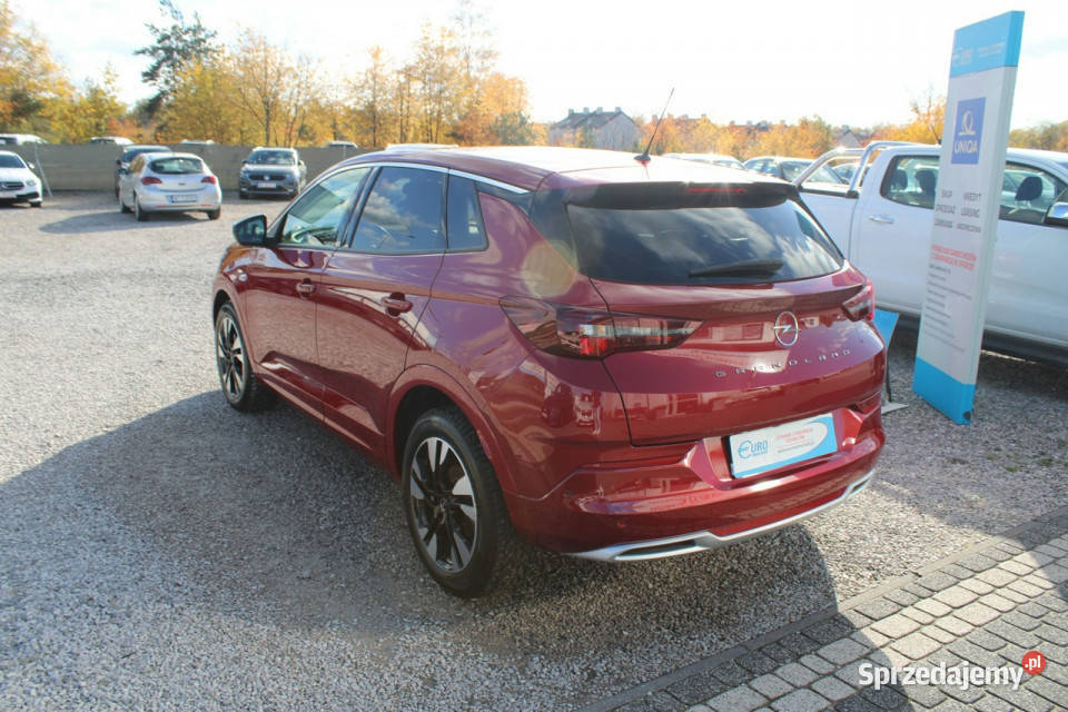 Opel Grandland X Business Elegancenetto 56016PLN wspomaganie kierownicy Warszawa