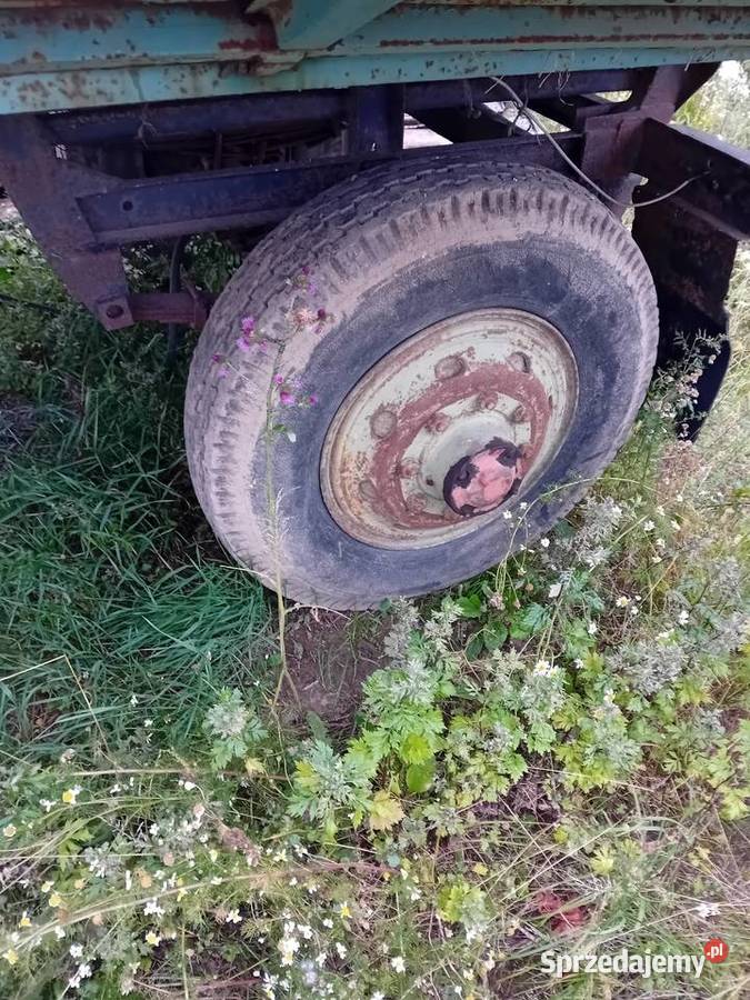 Przyczepa autosan d50 platforma Starogard Gdański