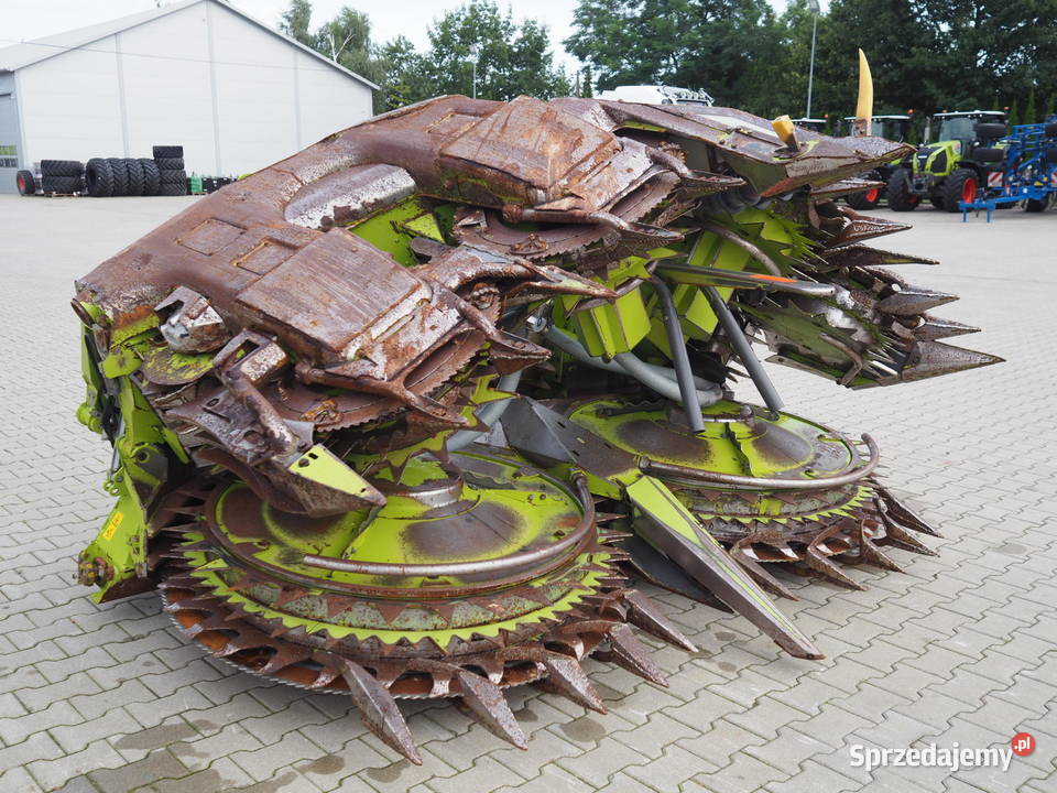 Claas Orbis 600 SD Przystawka do kukurydzy heder wielkopolskie Stęszew