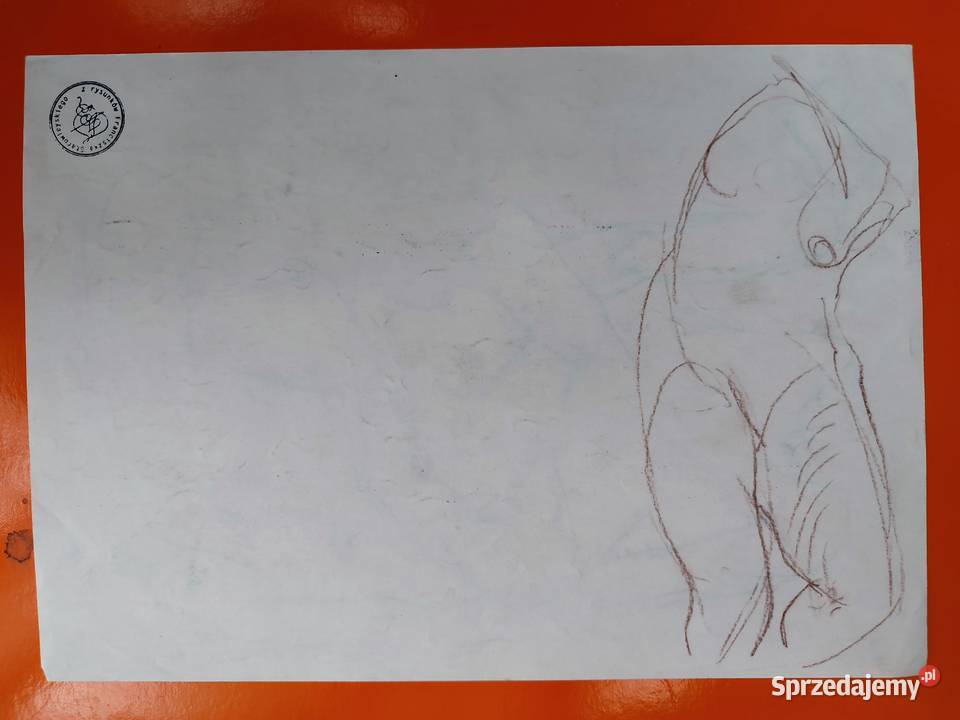 Szkice Franciszek Starowieyski sztuk 21 Białystok