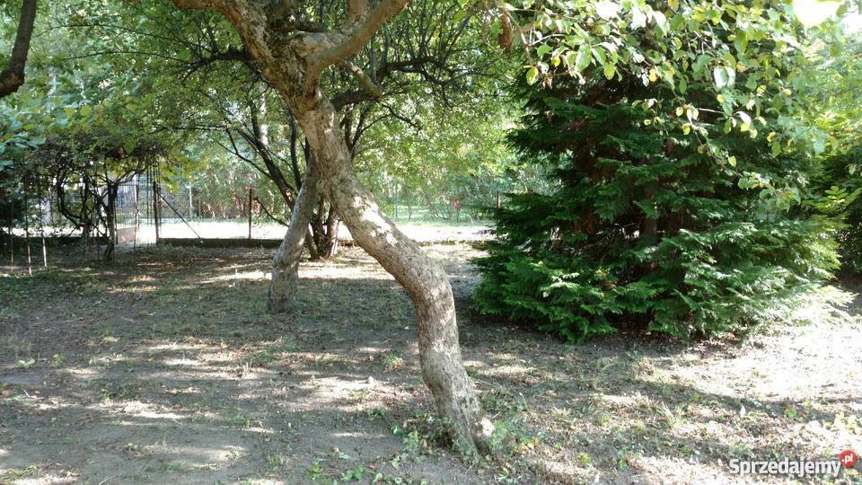 Działka ROD Warszawa Jedność 500 m2 na mazowieckie