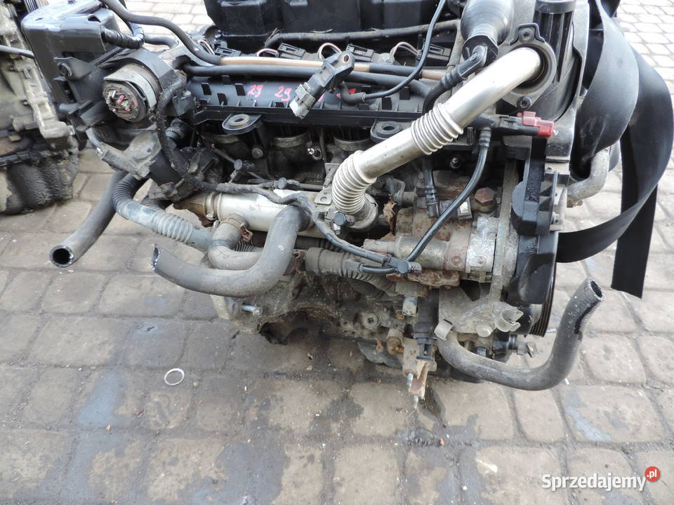 FORD FIESTA MK6 14 TDCI FUSION SILNIK F6JA małopolskie Nowy Sącz