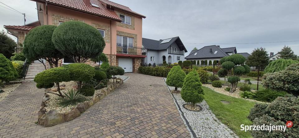 Usługi leśno ogrodnicze prace ogrodowe