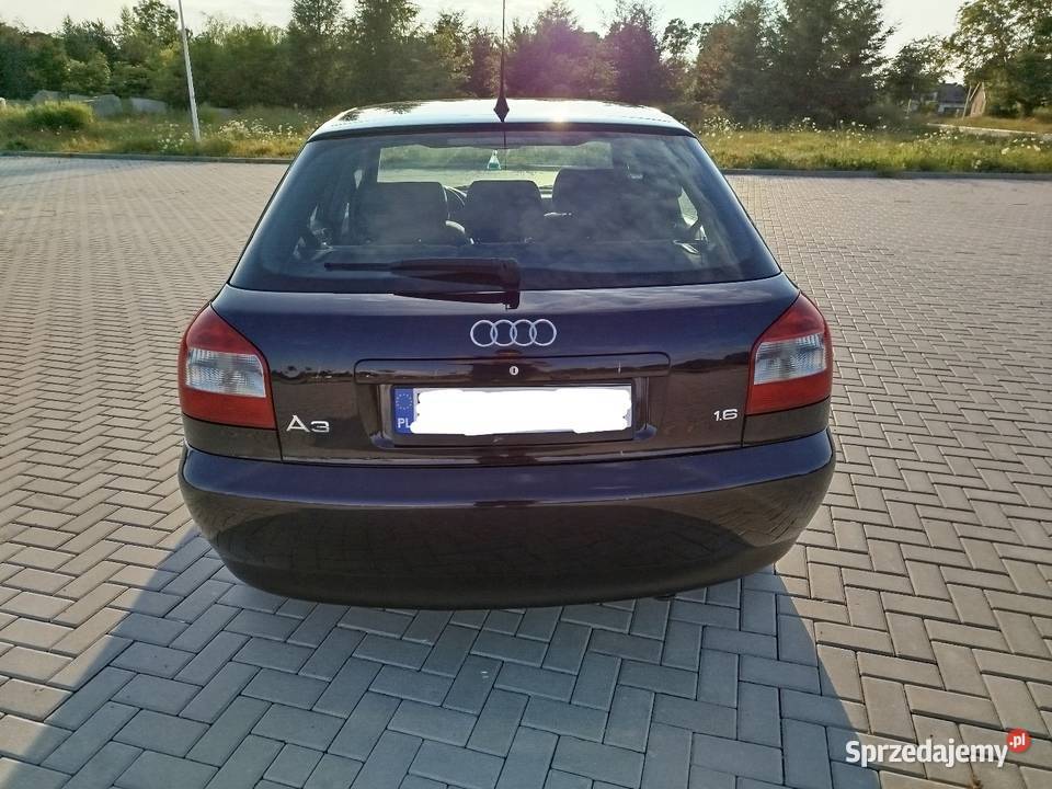 A3 8l 16 Benzyna Gaz sekwencja 2002 5 drzwi Świdnik