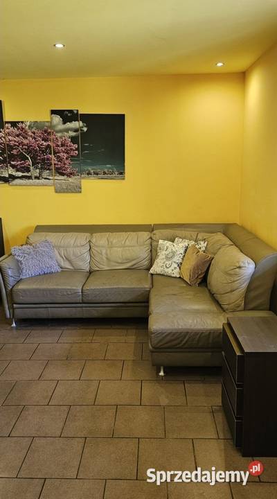 Działka rekreacyjna ROD Chełmno żywopłot