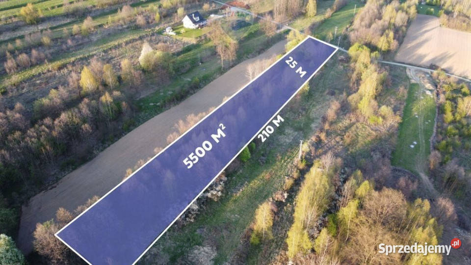 DZIAŁKA 5500 m PODSTOLICE GMINA WIELICZKA Sprzedaż małopolskie