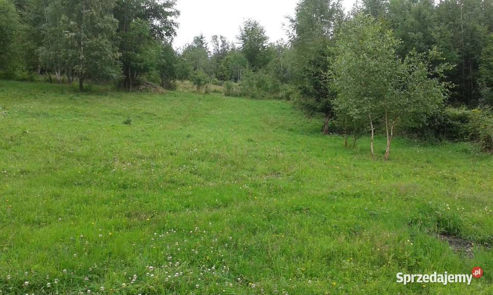 Piękna duża działka z widokiem na Babią Górę 170m Zawoja