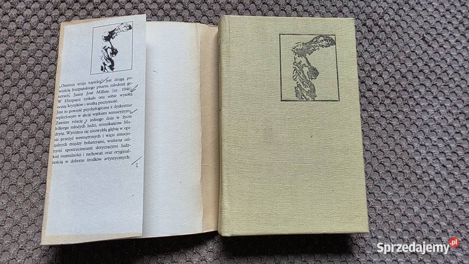 Juan Jos Mills Ostatnia wizja topielca Kraków