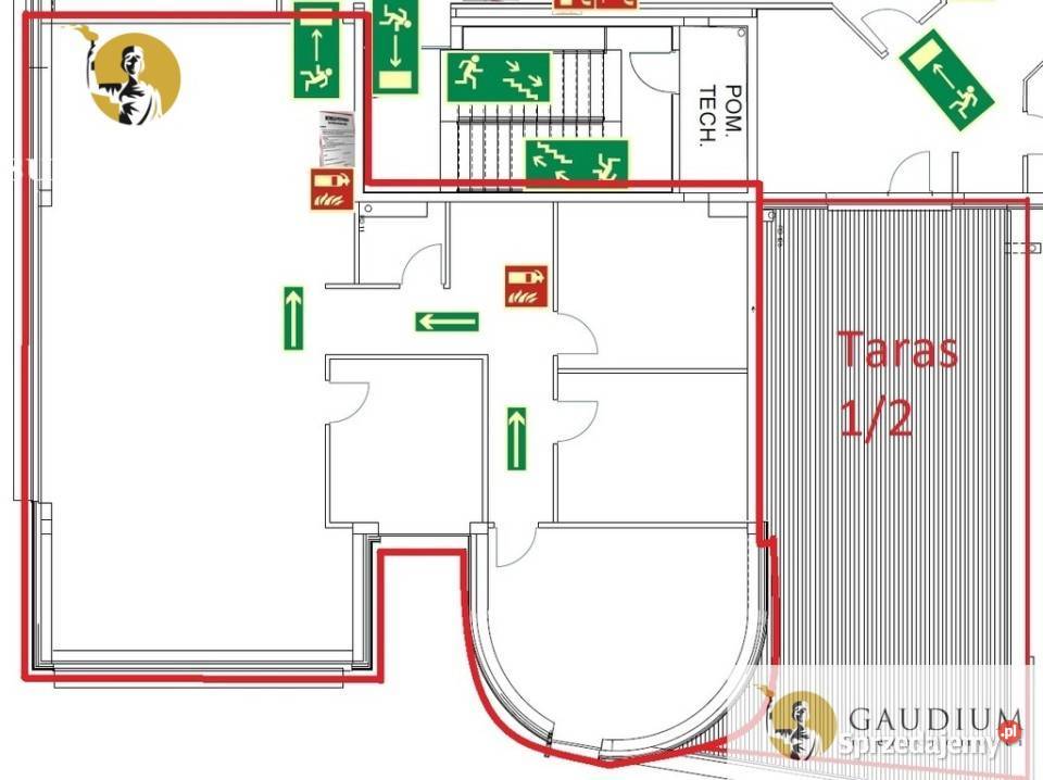 Lokal w Centrum Gdyni 192m2 Lokale użytkowe Gdynia