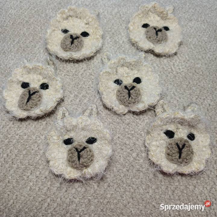 Lama aplikacja kotylion Lidzbark Warmiński