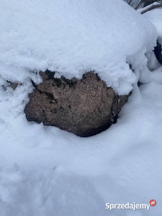 Kamień duże Jeleniewo