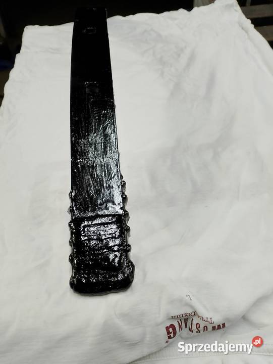 Redlica ząb bezorkowca