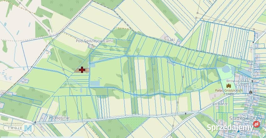 Działkę sprzedam Śladków Duży 43100m2 43100m2