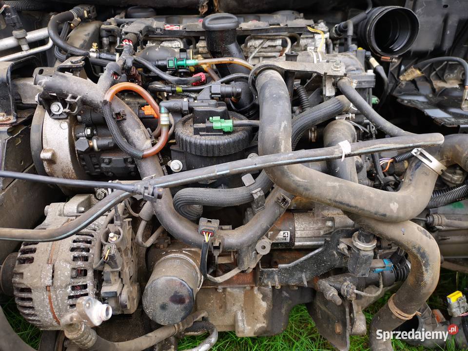 Silnik 20 HDI RHY 10DYSA Citroen Peugeot Strzelce Krajeńskie sprzedam
