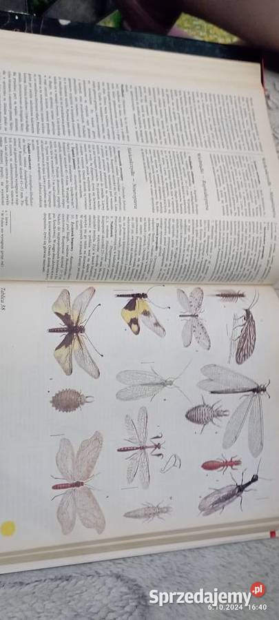 Świat Zwierząt Częstochowa