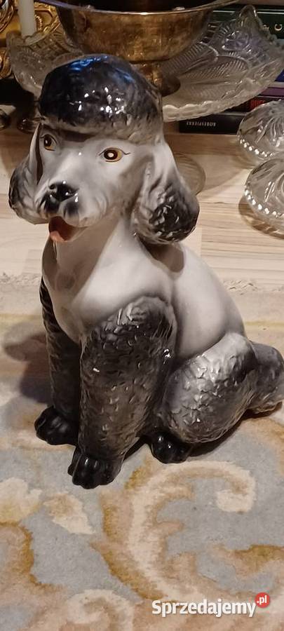 PUDEL CERAMICZNY PRL KUP W POZNANIU wielkopolskie Środa Wielkopolska