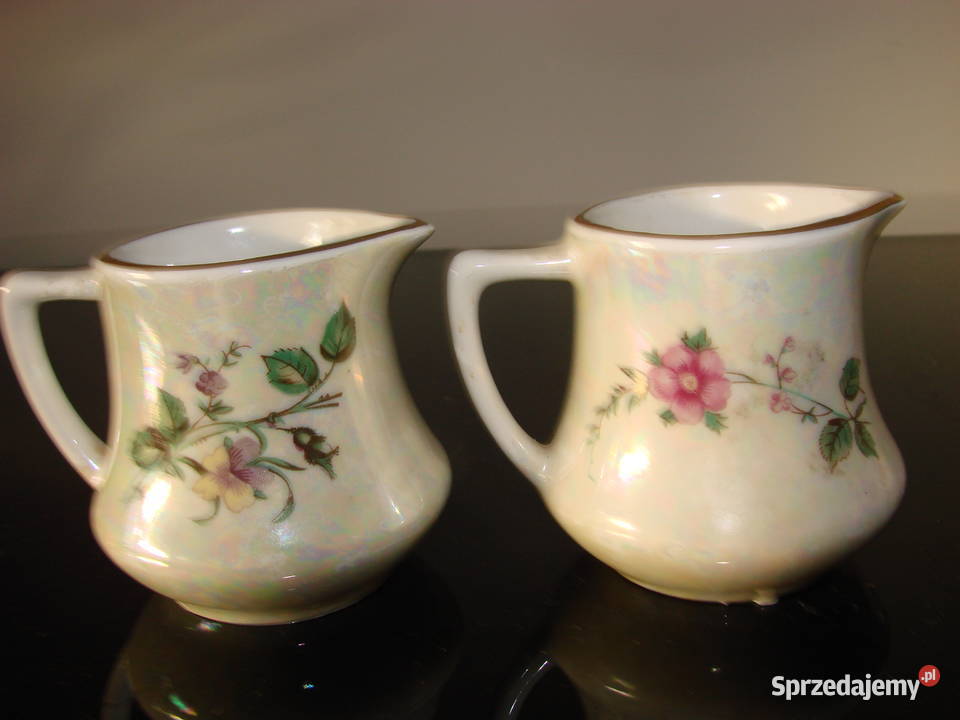 Lubiana Inter American mały mlecznik Pruszcz Gdański