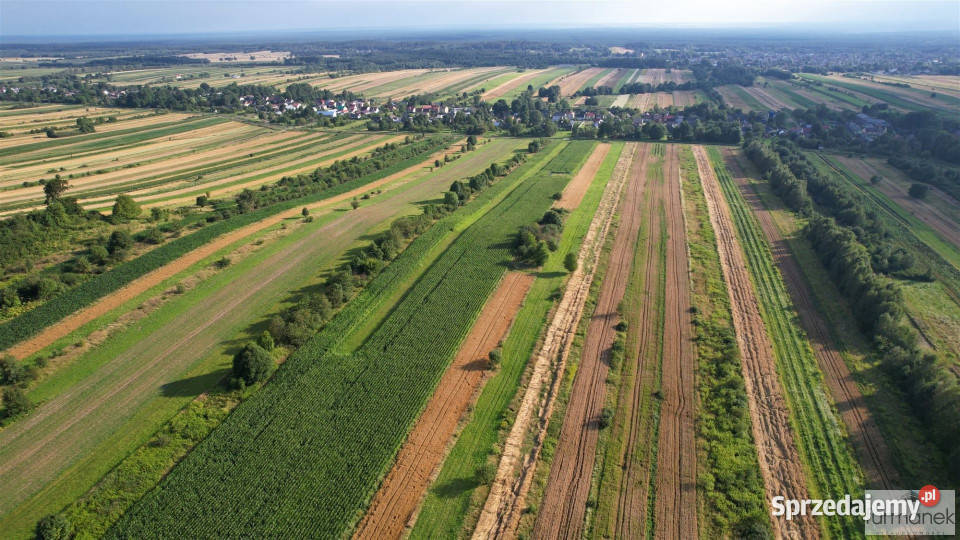 Grunt sprzedam Majdan Nepryski 30480m2 sprzedam