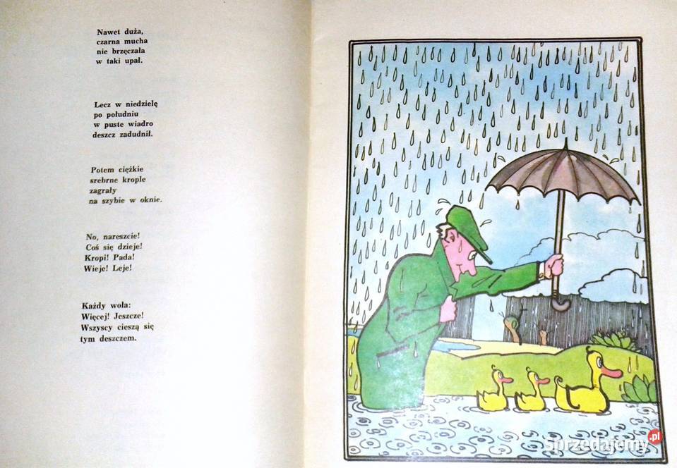 Zimowy spacer Andrzej Warzecha Chełm sprzedam