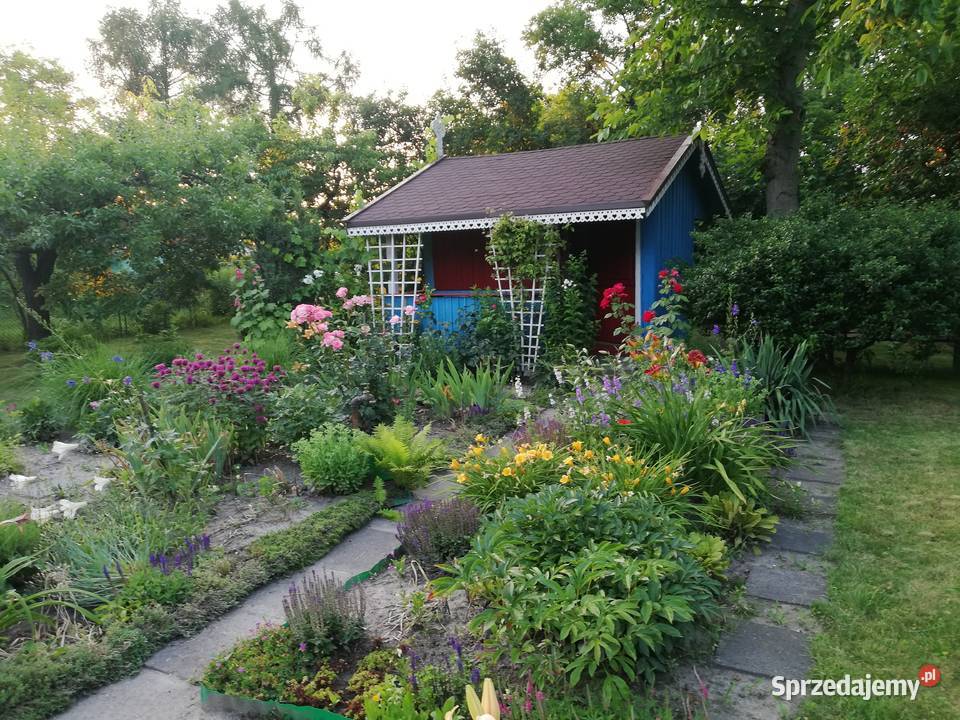 Ogródek działkowy Warszawa Ochota