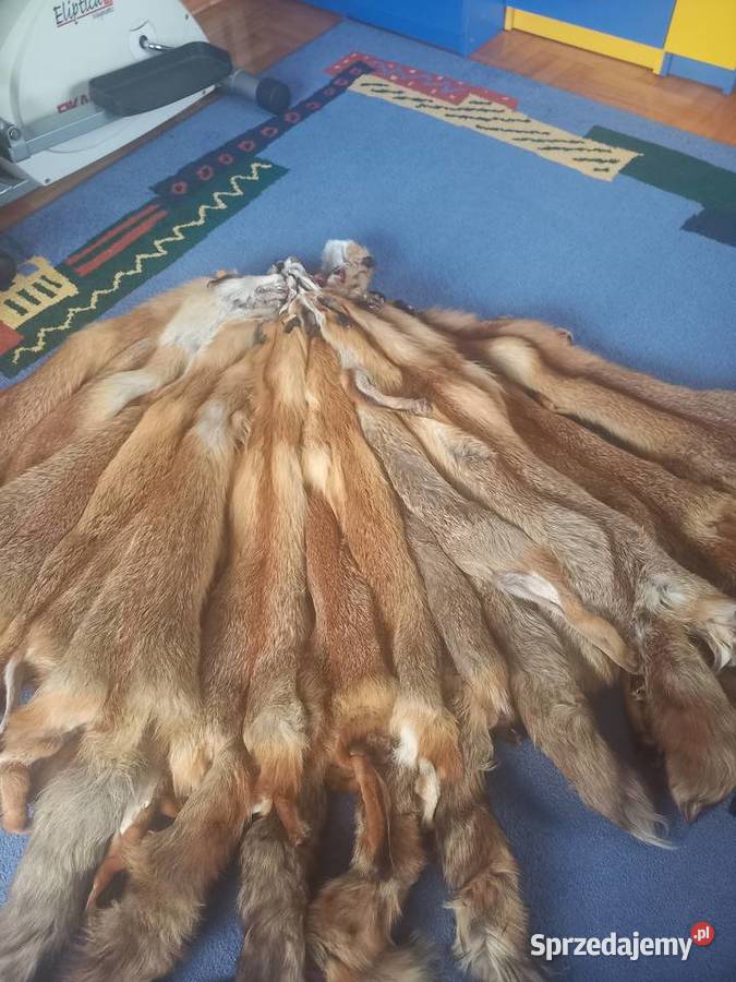 Skóry Siemiatycze sprzedam