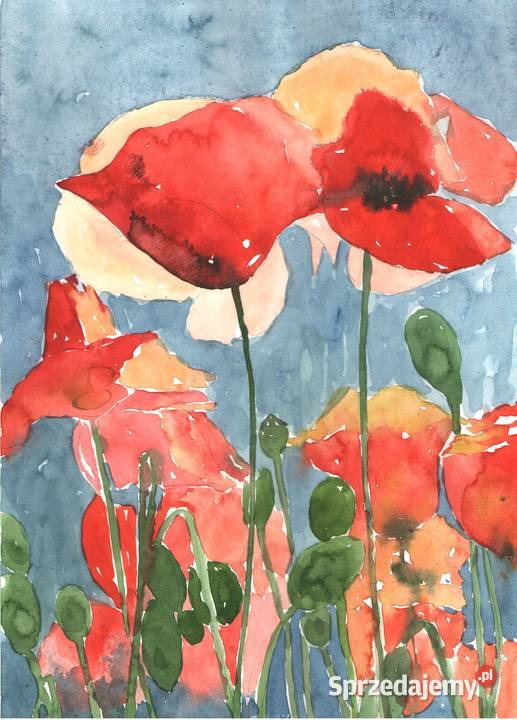 OBRAZ akwarela KWIATY Gryfów Śląski sprzedam
