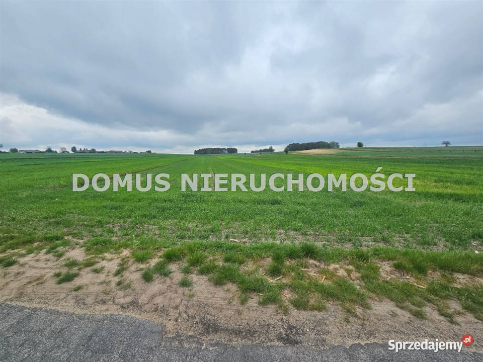 Do sprzedaży działka 4700m2 Chociszew