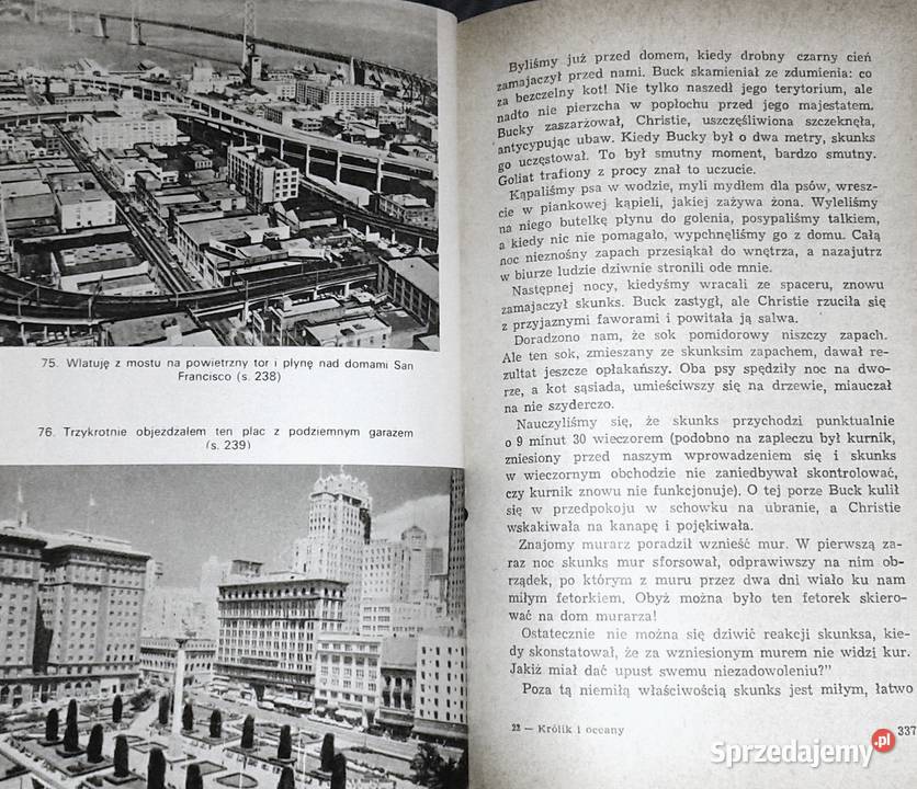 Królik i oceany Melchior Wańkowicz lubelskie