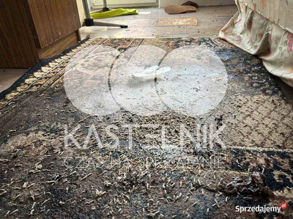 Sprzątanie zgonach Bartoszyce Kastelnik