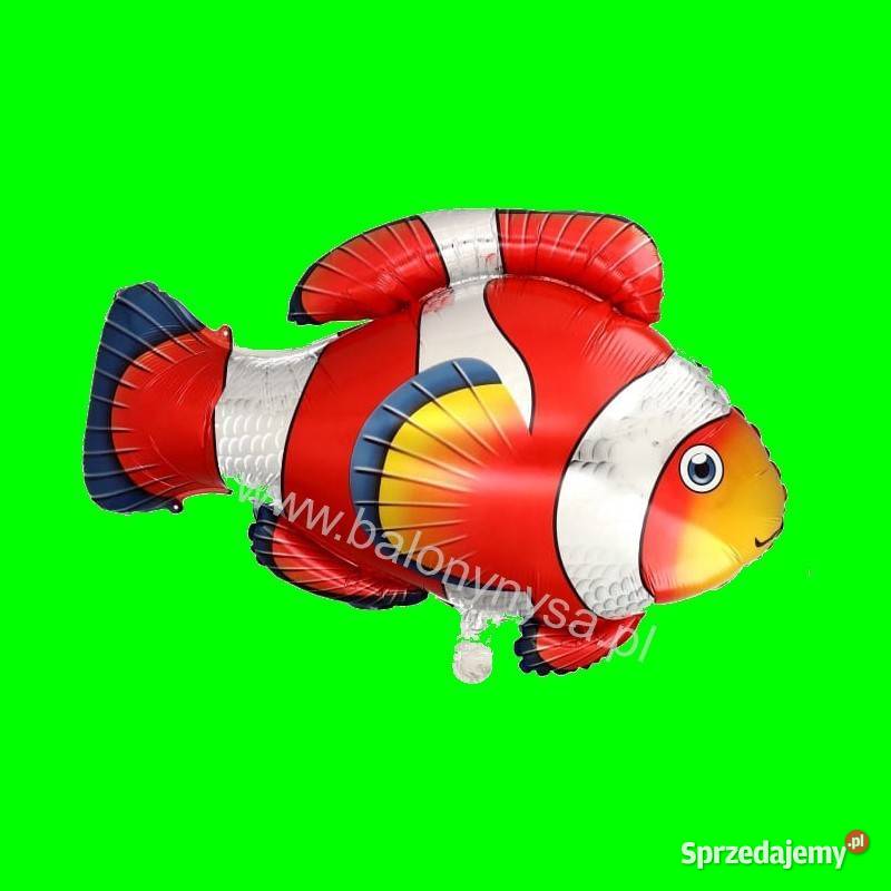 Balony foliowe na hel DUŻE Nysa sprzedam