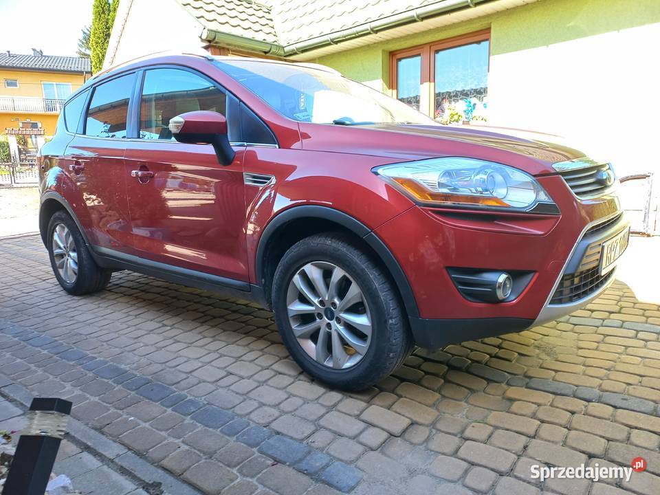 Ford kuga Studzian