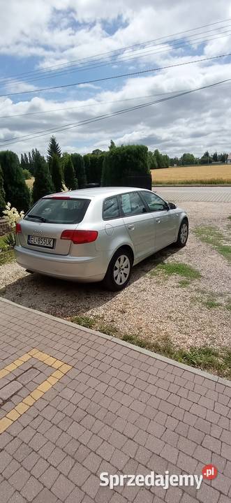 Audi A3 8P 19 TDI Końskie
