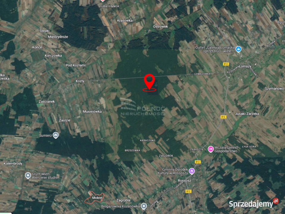 Działki leśne do sprzedaży Mokre gm Rossosz leśna