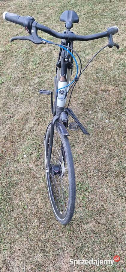 Gazella chamonix C7 ltd Krzewina